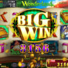 Wonderland Big Win