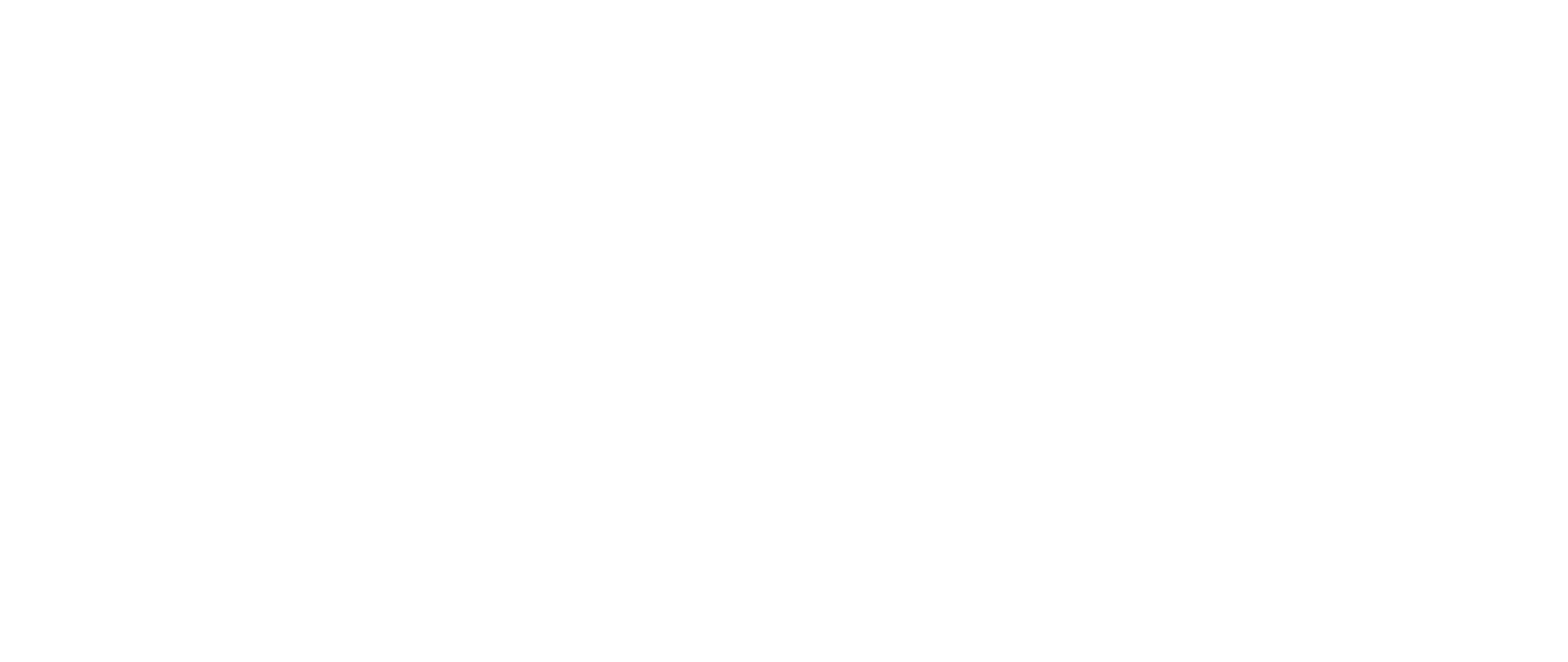 Sentinel Management System