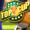 Top Cup